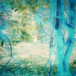 In Too Deep, IV