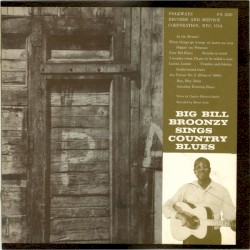 Big Bill Broonzy Sings Country Blues