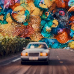 Bug Out! (remastered)