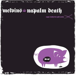 Sugar Daddy Live Split Series, 9