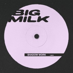 SHADOW WORK