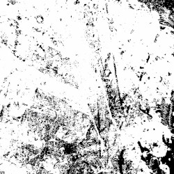 We Have Taken Everything, and Everything Has Been Taken From Us