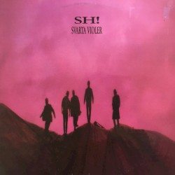 Svarta violer