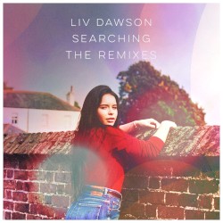 Searching: The Remixes