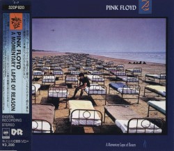 A Momentary Lapse of Reason