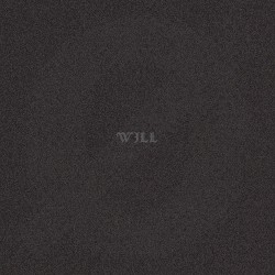 Will