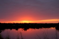 That Sanguine Light of November