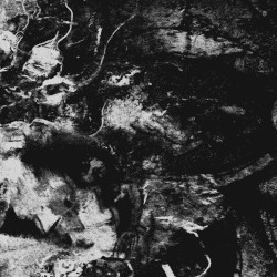 Those days I spent with you were truly my Haku.