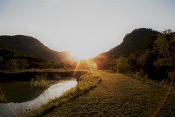 A Brief Vision of Light