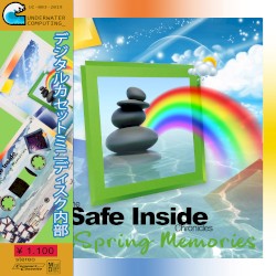 The Safe Inside Chronicles
