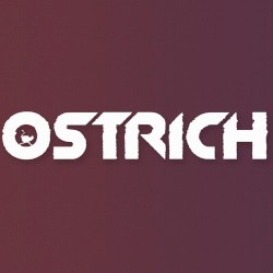Say My Name (Ostrich remix)