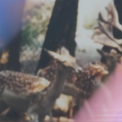 Une espèce nocturne (fnonose remix)