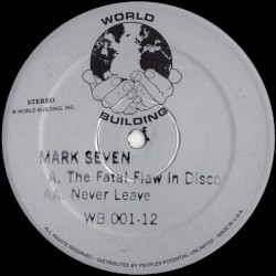 The Fatal Flaw In Disco / Never Leave