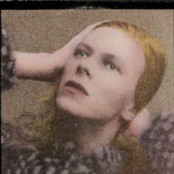Hunky Dory