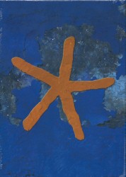 13th Star