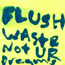 Flush Waste Not UR Dreams