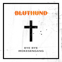 Bye Bye Irokesengang