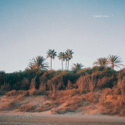 Would You (summer edit)
