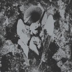 Converge / Dropdead