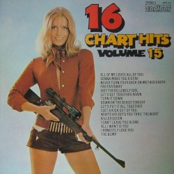 16 Chart Hits, Volume 15
