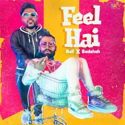 Feel Hai