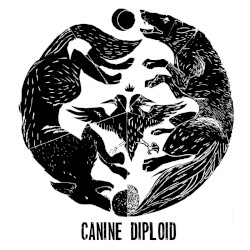 Canine / Diploid