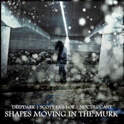 Shapes Moving in the Murk