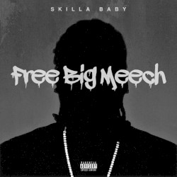 Free Big Meech