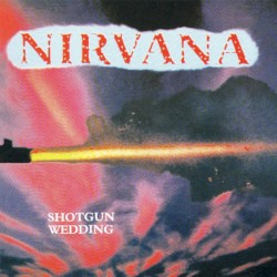 1993-07-23: Shotgun Wedding: New Music Seminar, Roseland Ballroom, New York, NY, USA