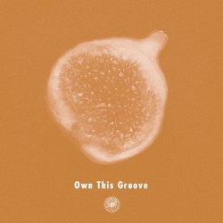 Own This Groove