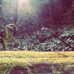 Meet the Rising Sun With Infinite Stillness