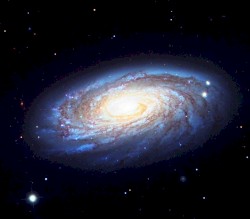 M88