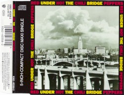 Under the Bridge