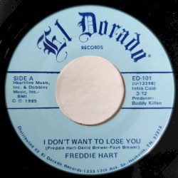 I Don’t Want to Lose You