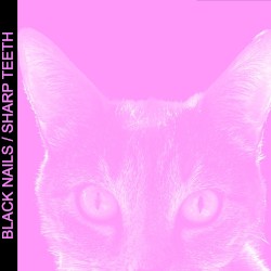 I didn’t realize you were so famous around these parts