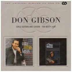 Girls Guitars and Gibson / Too Much Hurt