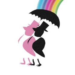 Rainbows Have Nothing To Hide