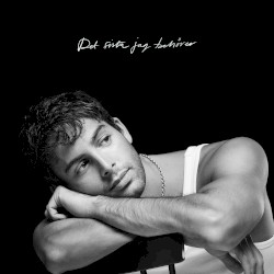 Det sista jag behöver