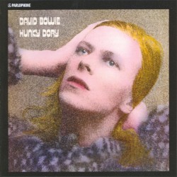 Hunky Dory
