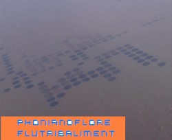 Flutribaliment