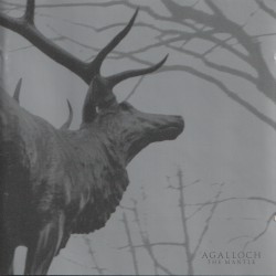The Mantle