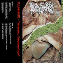 Internal Degradation
