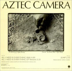 All I Need Is Everything