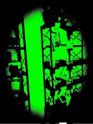 017: Quite a Harsh Bee