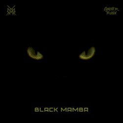 Black Mamba