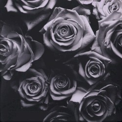 With Love