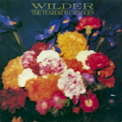 Wilder