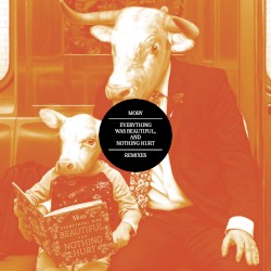Everything Was Beautiful, and Nothing Hurt (Remixes)