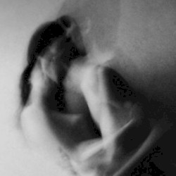 Dancing Through the Amber Sky