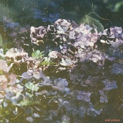 Dreams About Green Spring